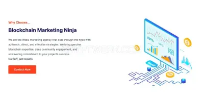 Blockchain Marketing Ninja photo