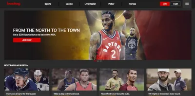 Bodog Casino photo