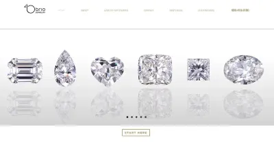 Briojewelry.com photo