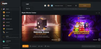 Bspin.io photo