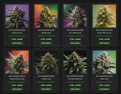 Bud Champion photo