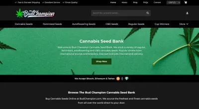 Bud Champion photo