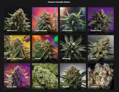 Bud Champion photo