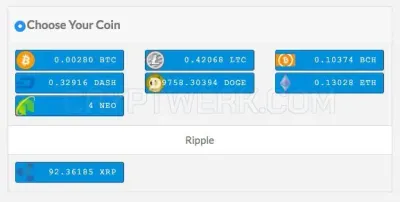 Buy USA RDP - Web Pundits photo