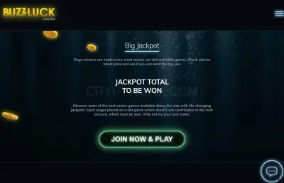 Buzzluck photo