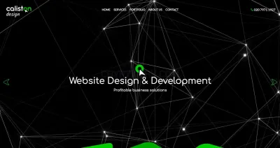 Caliston Design photo
