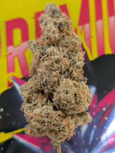 Call Me HEMP photo