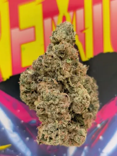 Call Me HEMP photo