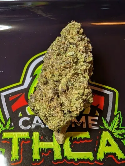 Call Me HEMP photo
