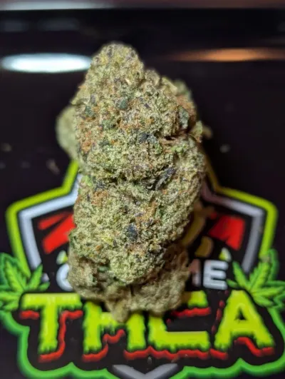 Call Me HEMP photo