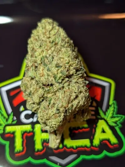 Call Me HEMP photo