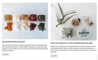 Calypso Eco Soap Factory photo