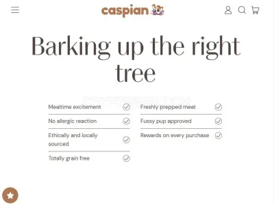 Caspian photo
