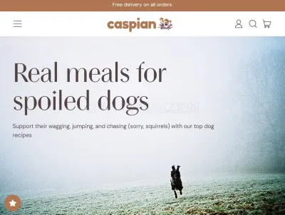 Caspian photo