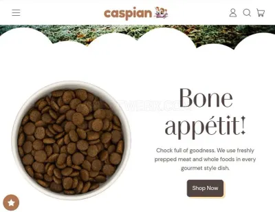 Caspian photo