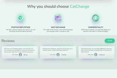 Cat Change photo
