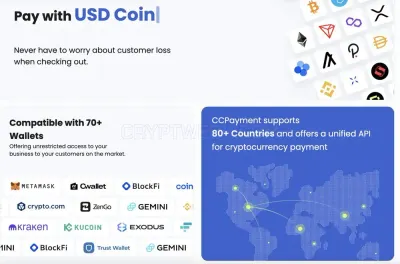 CCPayment photo