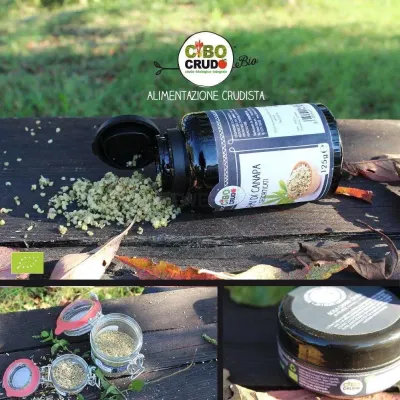 Cibocrudo photo