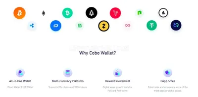 Cobo wallet photo