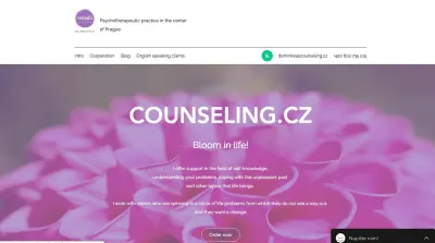 Counseling.cz photo