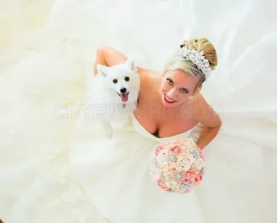 Couture Bridal Photography photo