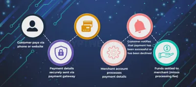 CryptoApe photo