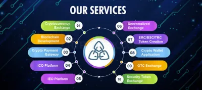 CryptoApe photo