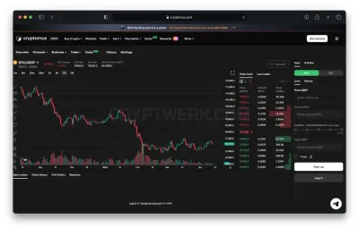 Cryptomus photo
