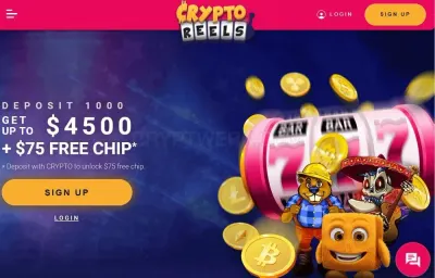 Crypto Reels photo