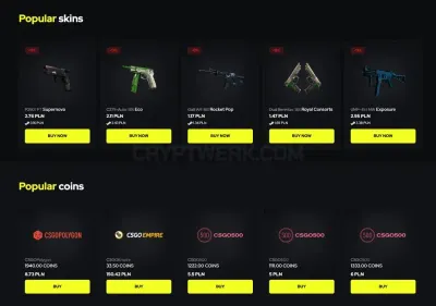 CSGOPaka photo