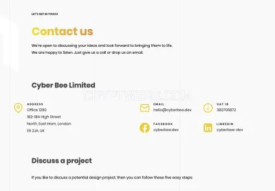 Cyber Bee photo
