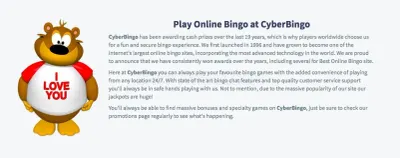 CyberBingo photo