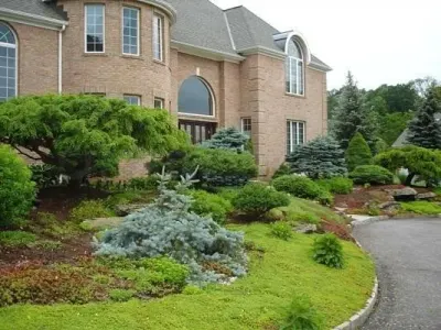 De La Vega Tree Service photo