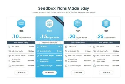 Dedi Seedbox photo