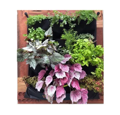 Delectable Garden photo