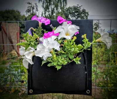 Delectable Garden photo