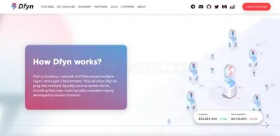Dfyn Network photo