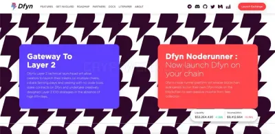 Dfyn Network photo