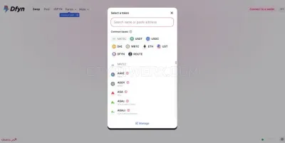 Dfyn Network photo