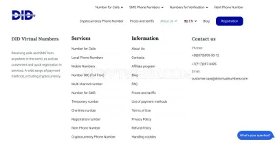 DID Virtual Numbers photo