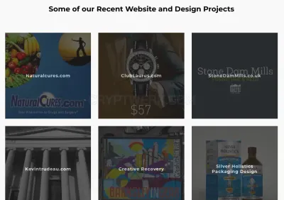 Digital Renovators photo