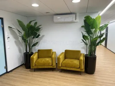 discompare.com photo