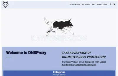 DNSProxy photo