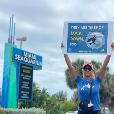 Dolphin Project photo