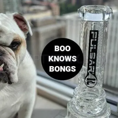 DopeBoo photo