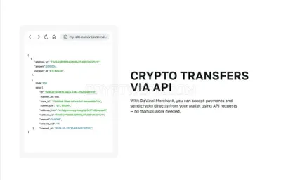 DV.net Crypto Payment Gateway photo