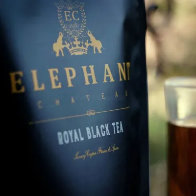 Elephant Chateau photo