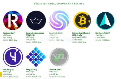 Ez-masternodes.com photo