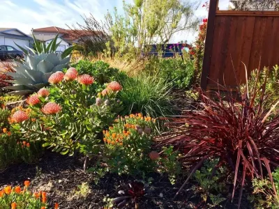 Farallon Gardens photo