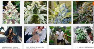 Farawaylandseedbank.com photo